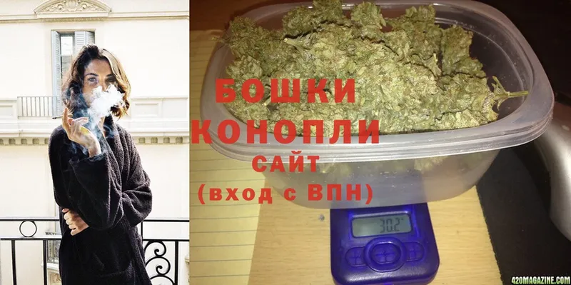 где найти   Волгореченск  Шишки марихуана SATIVA & INDICA 